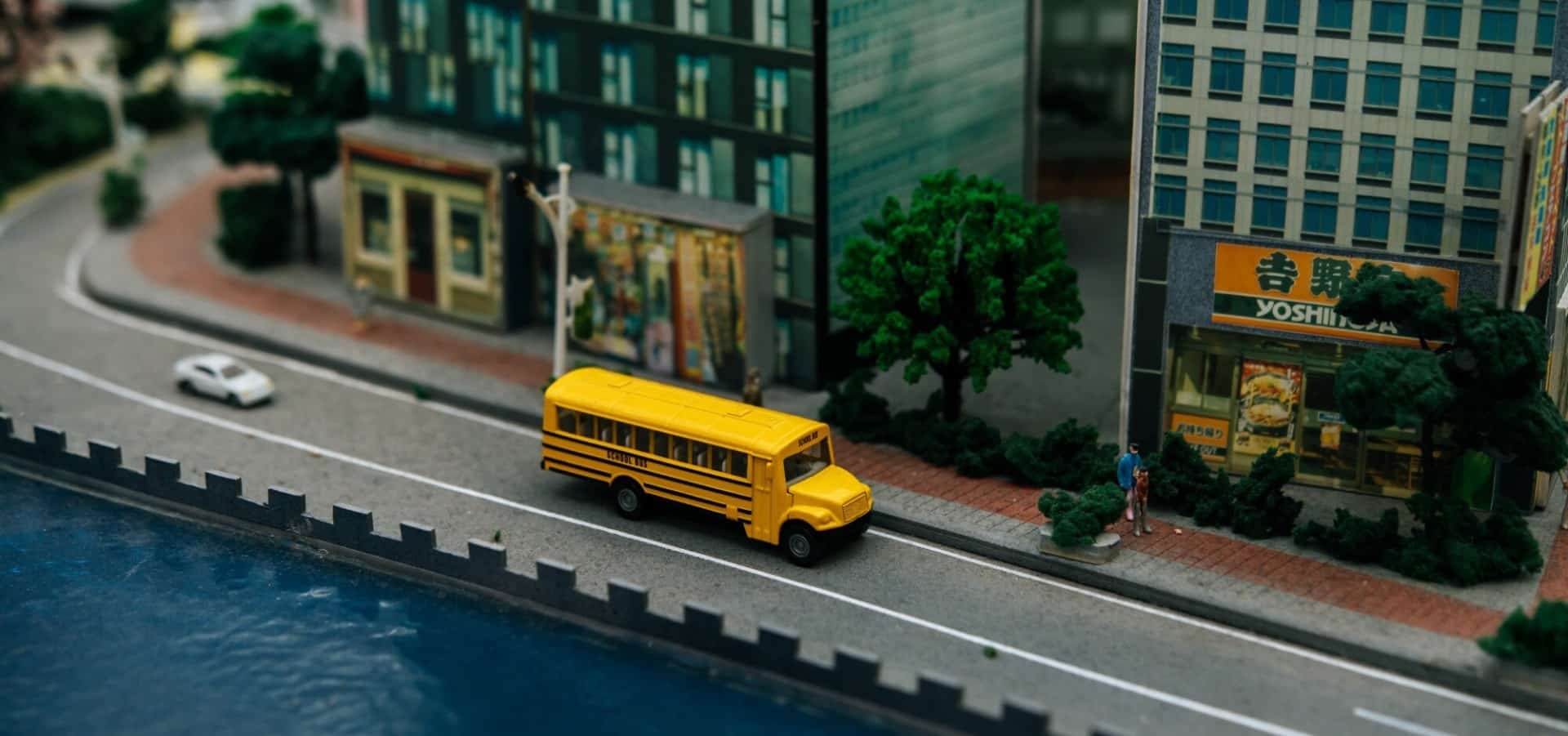 Public & School Transportation